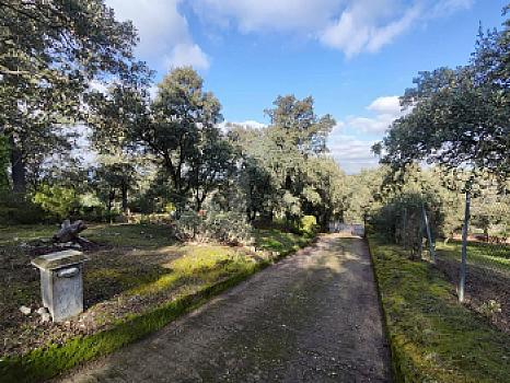 Chalet/casa independiente en venta en Sevilla la Nueva, Madrid