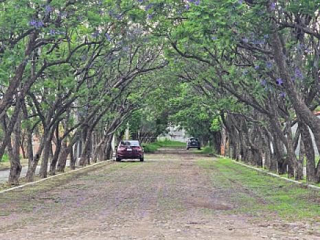 Terreno Campestre en Lomas del Picacho